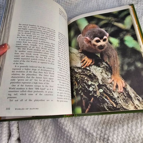 1965 Vintage Golden Press Walt Disney's World of Nature - Picture 8 of 9